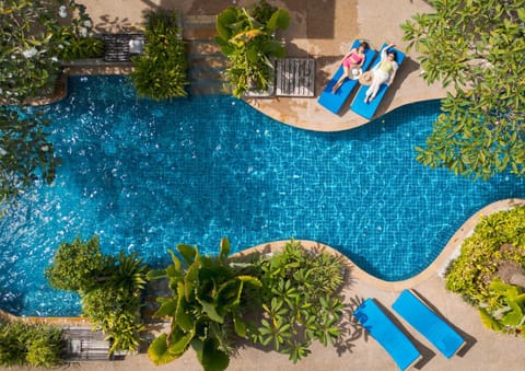 People, Bird's eye view, Pool view, Swimming pool