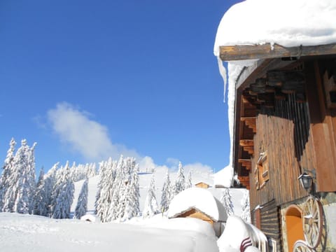 Winter, Skiing, On site, Mountain view