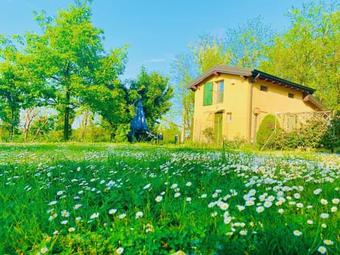 Spring, On site