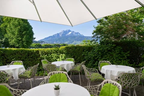 Garden, Mountain view