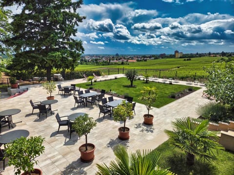 Garden, Balcony/Terrace