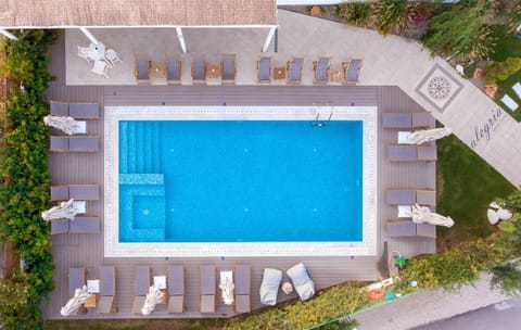 Day, Bird's eye view, Swimming pool