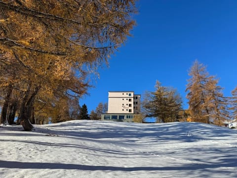 Property building, Winter, Garden, Skiing, Skiing, Garden view, Garden view