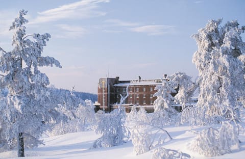 Property building, Winter