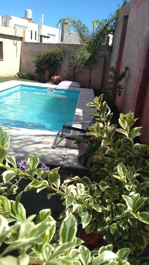 Day, Garden view, Pool view, Swimming pool