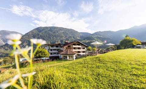 Property building, Garden view