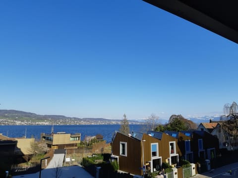 Lake view