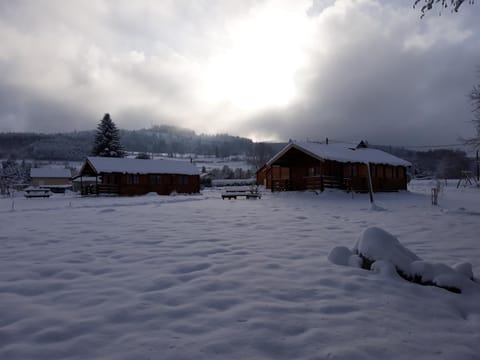 chalets les 5 loups Chalet in Vosges