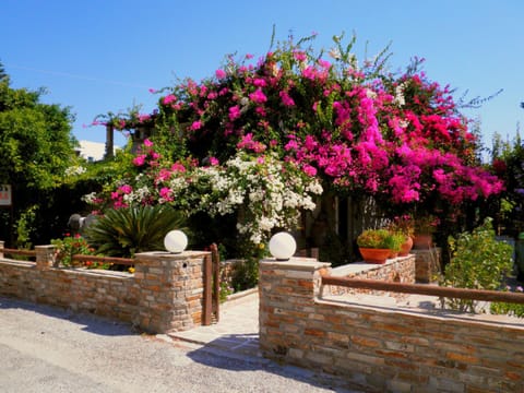 Facade/entrance, Facade/entrance, Garden