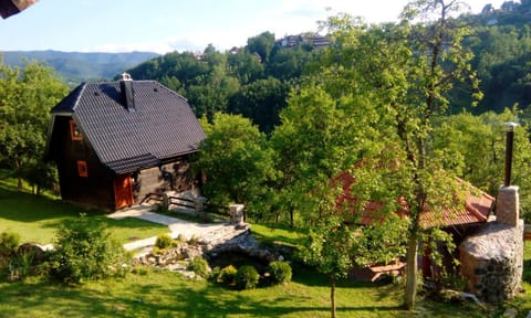 Vacation Home Nana House in Zlatibor District, Serbia