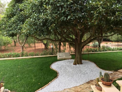 Garden view