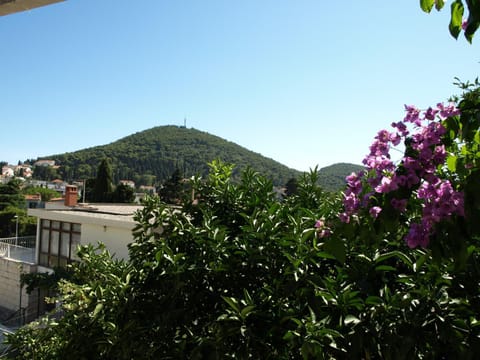 Balcony/Terrace, Garden view