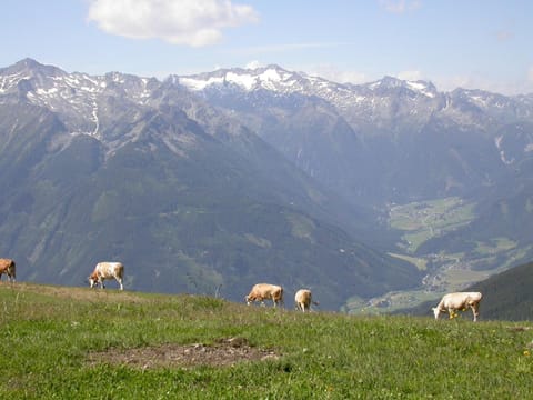 Day, Natural landscape, Summer, Hiking, Cycling, Location