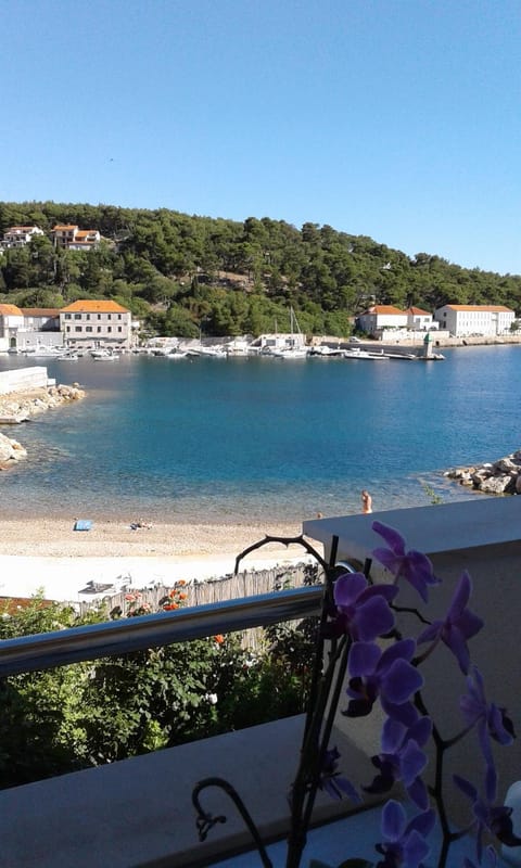apartmani Isabella - Ilda Radonic Apartment in Dubrovnik-Neretva County