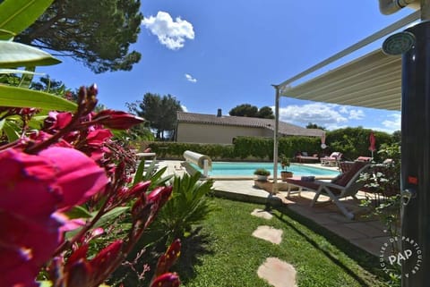 Garden, Garden view, Pool view, Swimming pool, sunbed