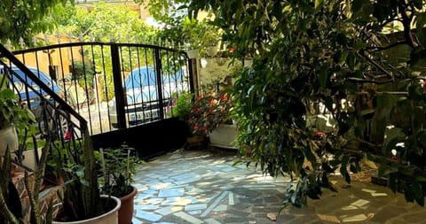 Property building, Patio, Garden, View (from property/room), Garden view