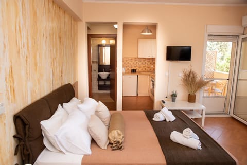 TV and multimedia, Kitchen or kitchenette, Living room, Seating area, minibar, air conditioner