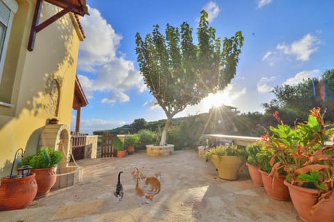 Patio, Balcony/Terrace, Animals