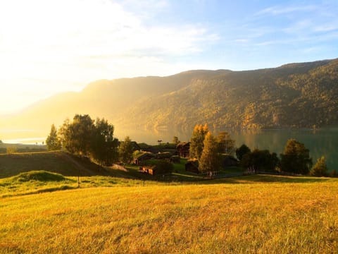Property view