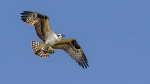 Agriturismo OASIS Farm Stay in Tuscany