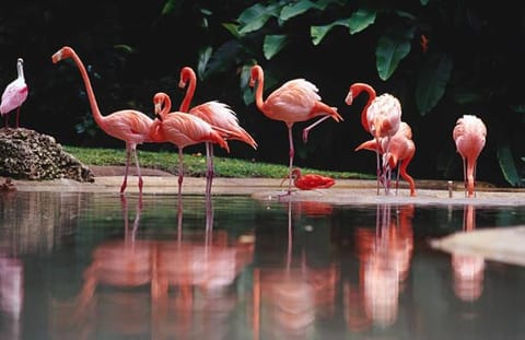 Agriturismo OASIS Farm Stay in Tuscany