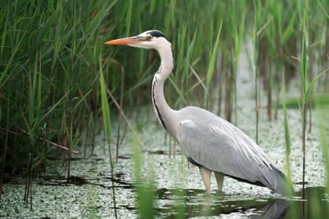 Agriturismo OASIS Farm Stay in Tuscany