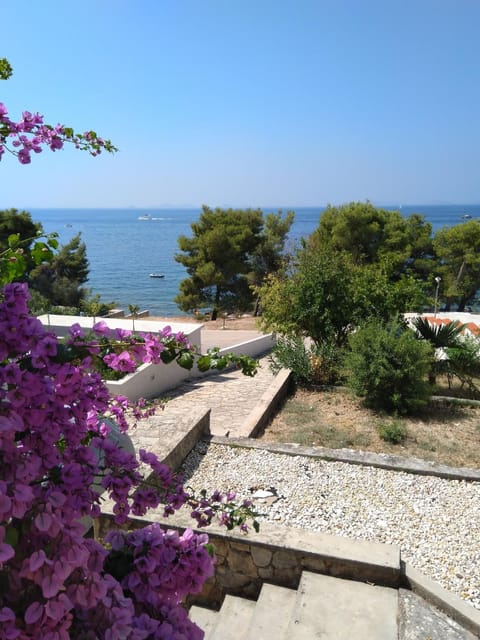 Apartman Viktor Apartment in Murter