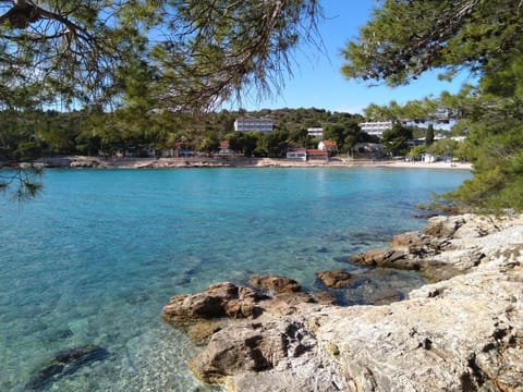 Apartman Viktor Apartment in Murter