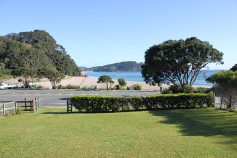 Garden, Sea view