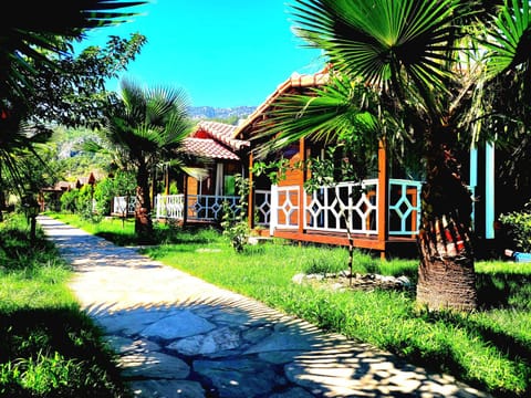Natural landscape, Garden