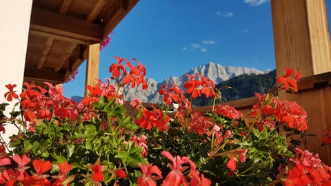 Apartments Ingrid Apartment in Trentino-South Tyrol
