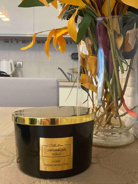 Taikos Apartmentai 2 Apartment in Lithuania