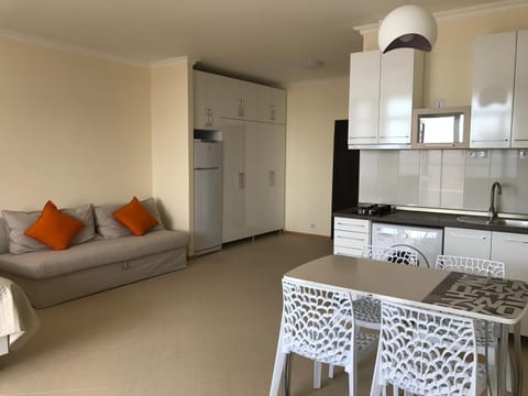 Kitchen or kitchenette, Dining area, Bedroom