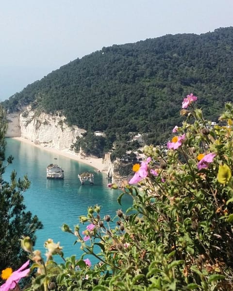 Casa Dante Bed&Breakfast Bed and Breakfast in Mattinata