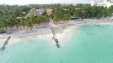Bird's eye view, Beach