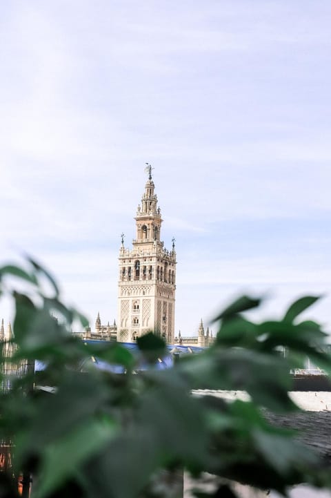Nearby landmark, Landmark view
