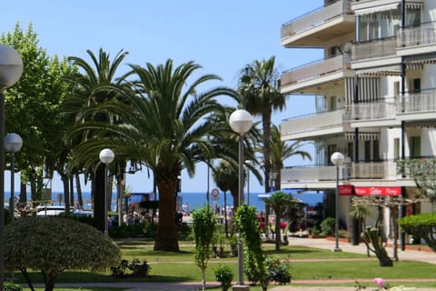 Garden, Beach