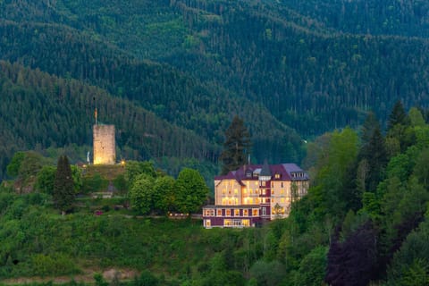 Natural landscape, Bird's eye view
