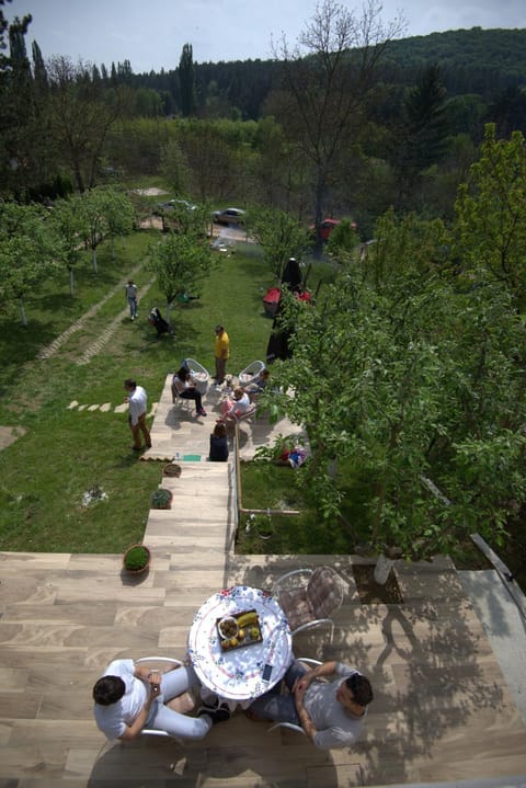 Garden, Balcony/Terrace, Garden view