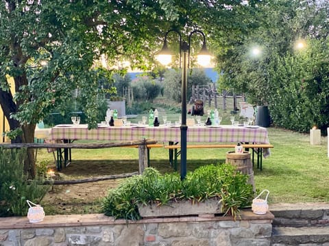 Natural landscape, Garden, Garden view