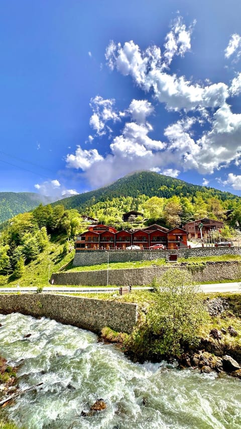 Property building, Natural landscape, View (from property/room), Mountain view, River view