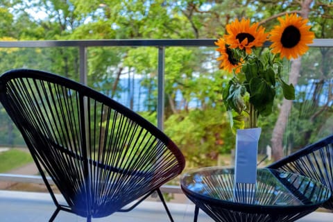 Spring, Day, View (from property/room), Balcony/Terrace, Sea view