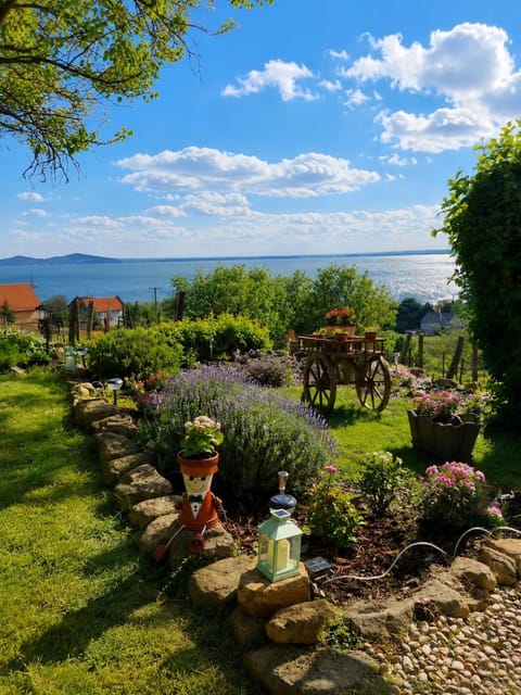 Lake view