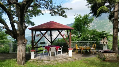 Patio, Garden