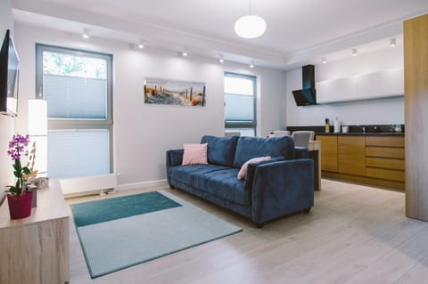 Bed, TV and multimedia, Kitchen or kitchenette, Living room, Seating area, Dining area
