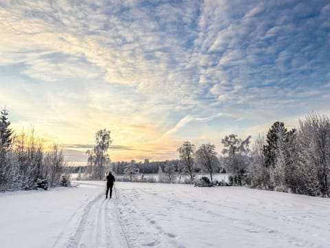 Holiday Home Villa-lyydia by Interhome House in Finland