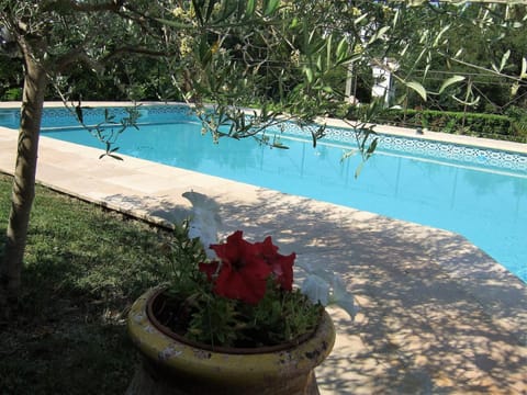 Pool view, Swimming pool, Swimming pool