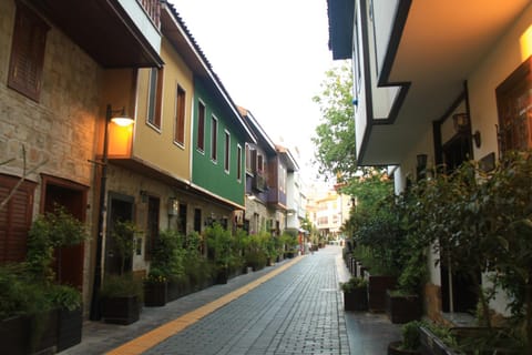 Property view