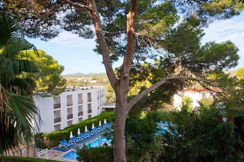 Day, Garden, Garden view, Pool view, Swimming pool