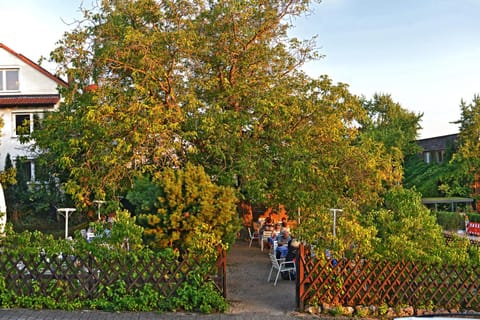 Restaurant/places to eat, Day, group of guests